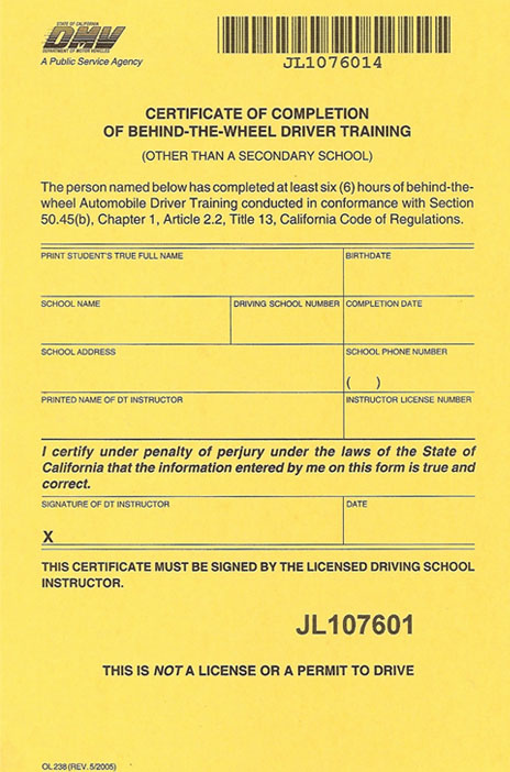 dmv sample tests